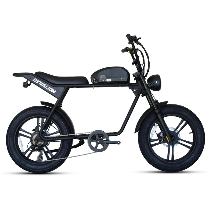 Dynalion Electric Bike For Adults 1000W, 20" Fat Tire Ebike 32 Mph & 45 Miles Long Range Off Road Snow Urban Commuter E Bike, 48V 16Ah - Black White