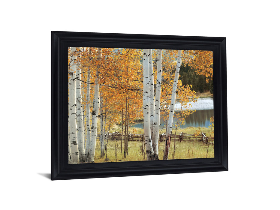 Golden Grove Serenity - 28" x 34" Framed Wall Art
