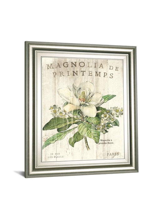 Magnolia De Printemps By Sue Schlabach - White