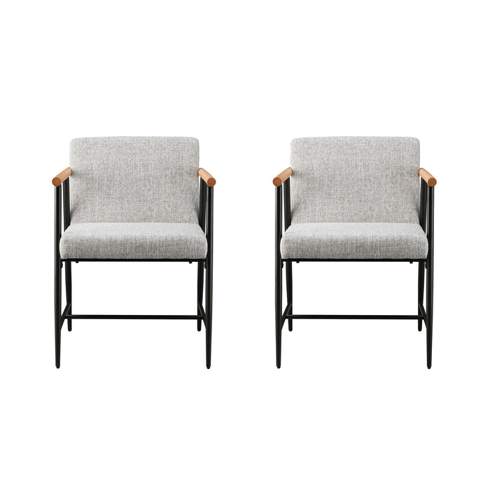 Modern Dining Chair With Iron Frame (Set of 2)