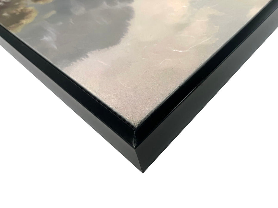 Jurassic Trail I Textured Canvas In Frame - Black / Brown