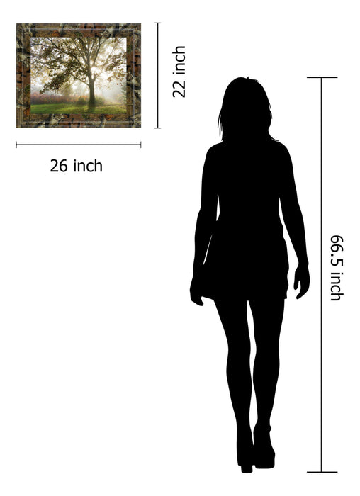 Morning Calm By Lee Frost - Framed Print Wall Art - Green