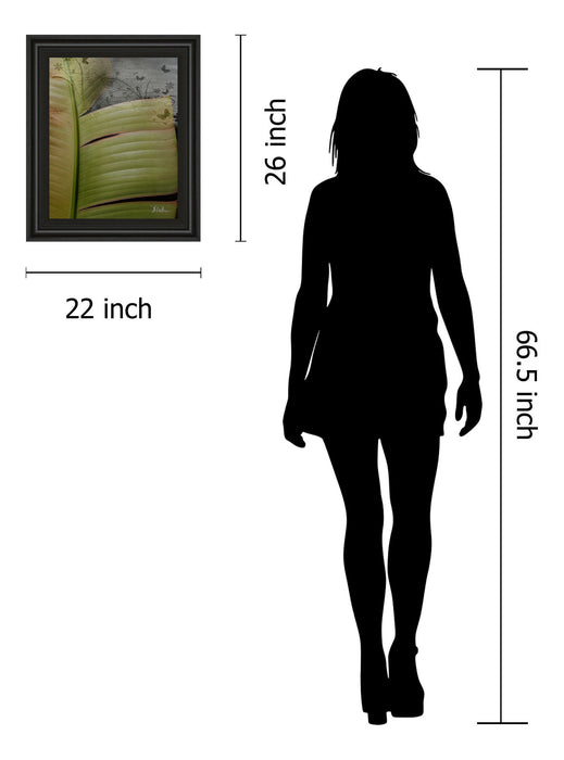 Butterfly Palm Il By Patricia Pinto - Framed Print Wall Art - Green