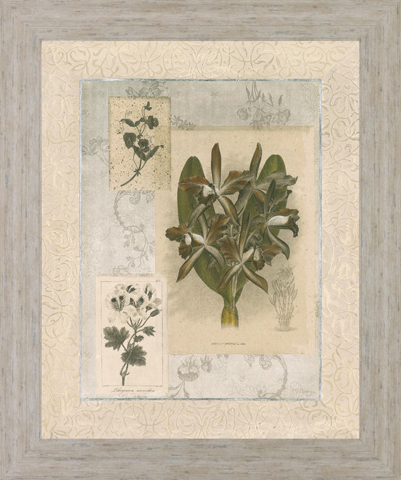 Vintage Botanical - 28" x 34" Framed Wall Art