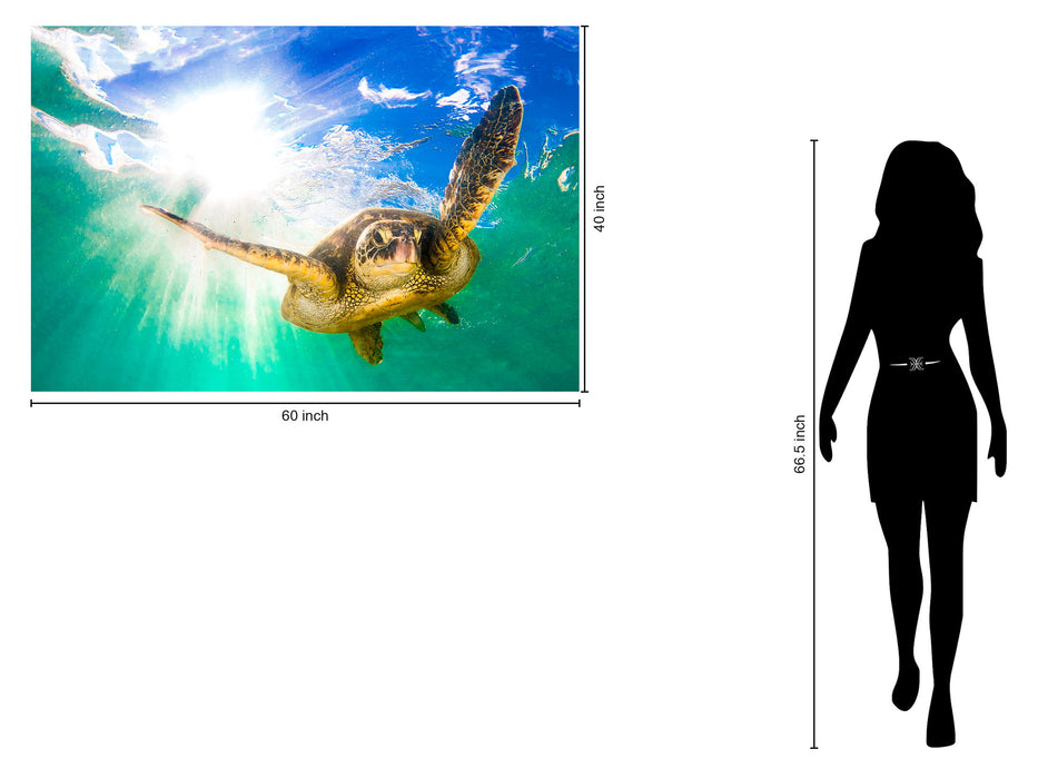 Tempered Glass With Foil - Sea Turtle - Green