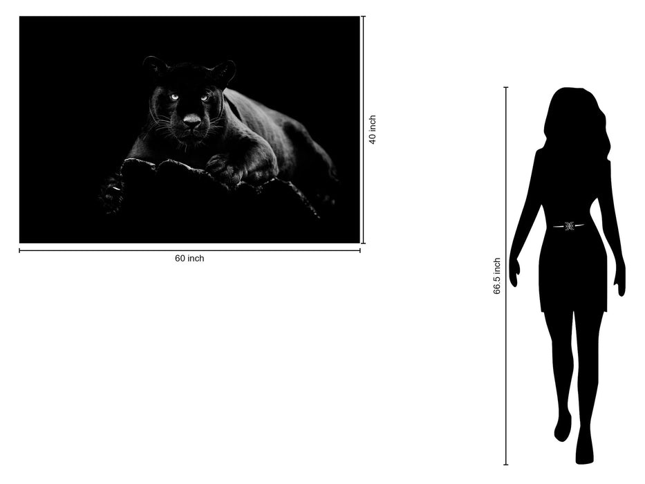 Tempered Glass With Foil - Black Panther - Black