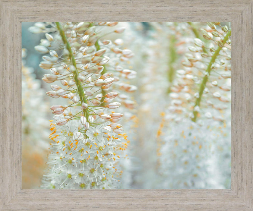 Whispering Blossoms - 28" x 34" Framed Wall Art