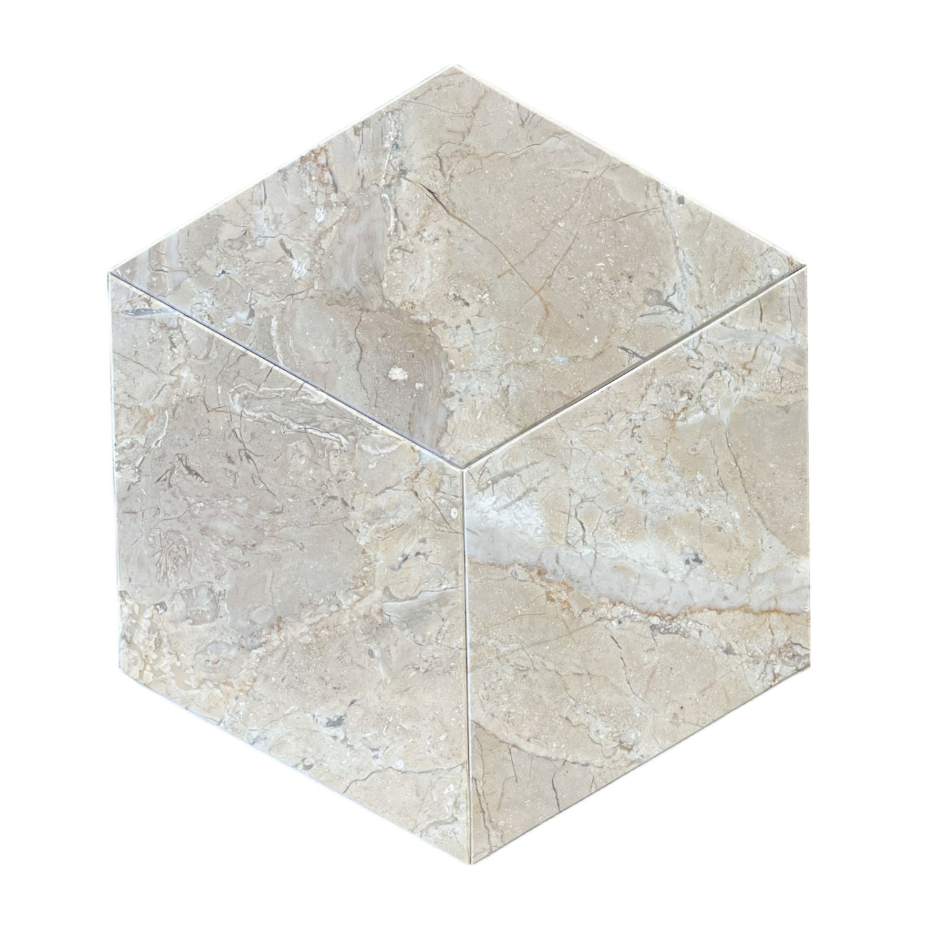Wall & Floor Tiles