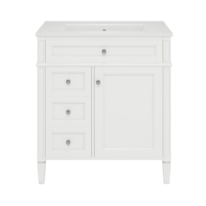 Bathroom Vanity With Top Sink, Modern Bathroom Storage Cabinet With 2 Drawers And A Tip-Out Drawer