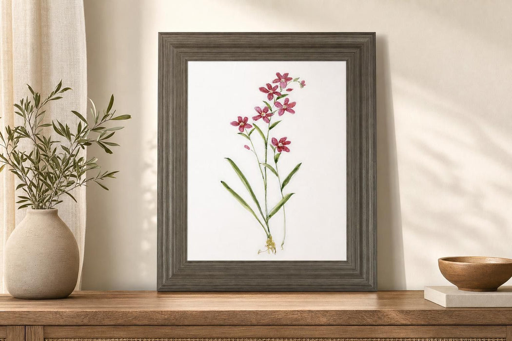 22x26 Delicate I By Sally Swatland - White