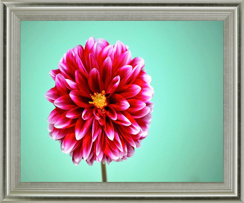 Crimson Radiance - 28" x 34" Framed Wall Art