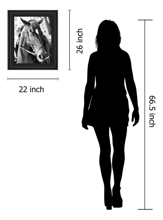 Derby I By Susan Bryant - Framed Print Wall Art - Black