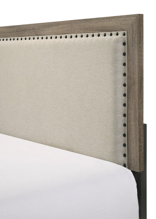Millie - Twin Upholstery Bed In One Box - Warm Gray
