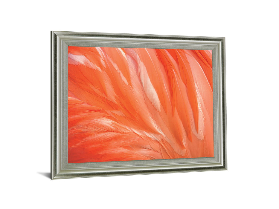 Citrus Plumage - 28" x 34" Framed Wall Art