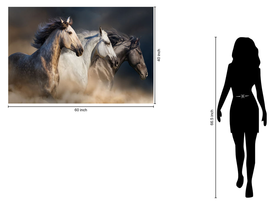 Temp Glass With Foil - 3 Horse - Dark Gray