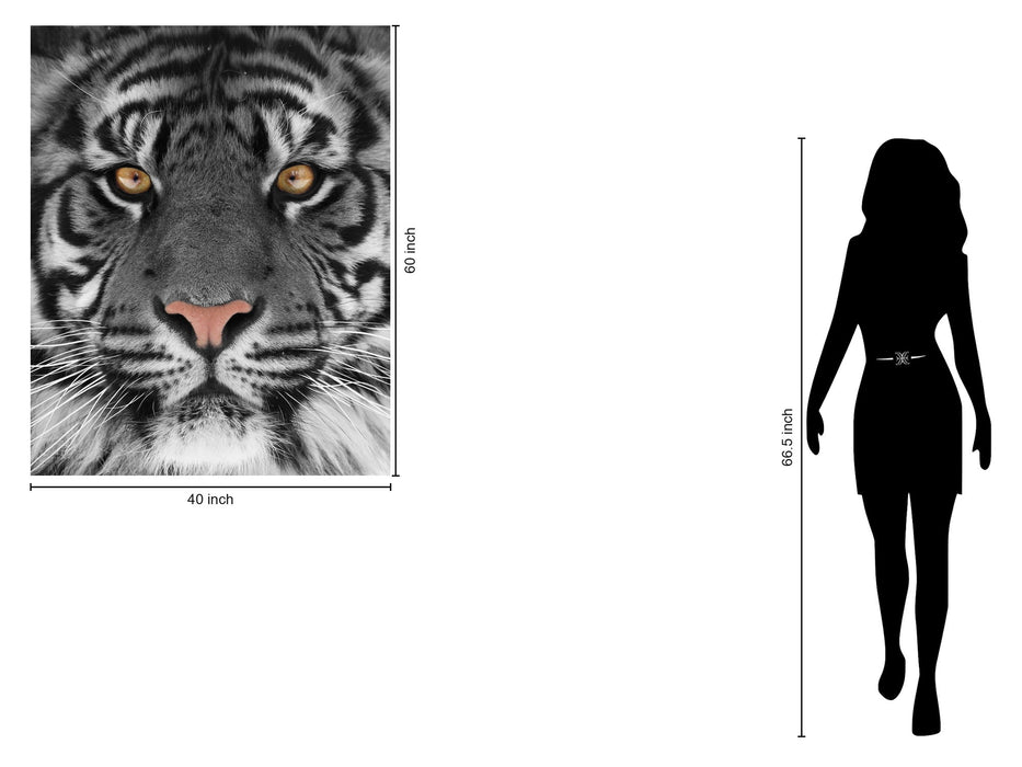 Floating Tempered Glass With Foil Tiger - Dark Gray