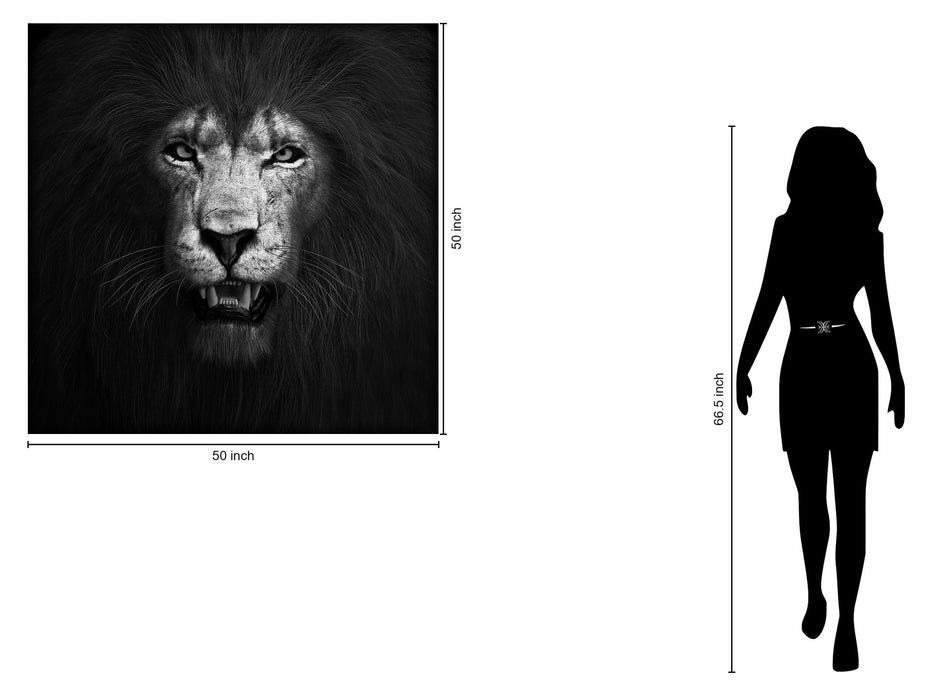 Tempered Glass With Foil - Lion B & W - Black