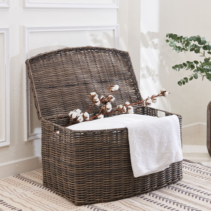 Joseph - Rectangular Curve Resin Woven Wicker Trunk With Handles Multi Purpose Storage - Walnut Brown