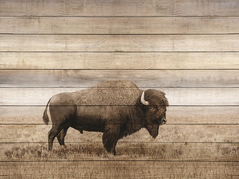 Rustic Bison By Amber Sterling (Framed Small) - Light Brown