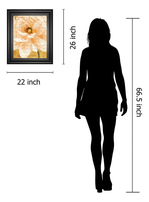 Beautiful Cream Peonies Script I By Patricia Pinto - Framed Print Wall Art - Gold