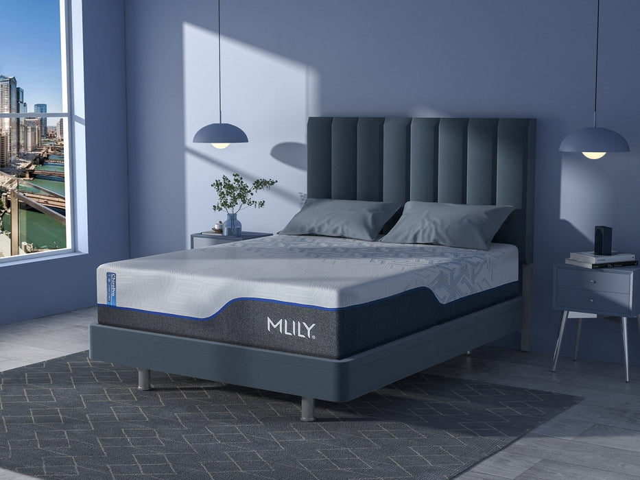 MLILY ChiroPro - 1.0 Firm Mattress