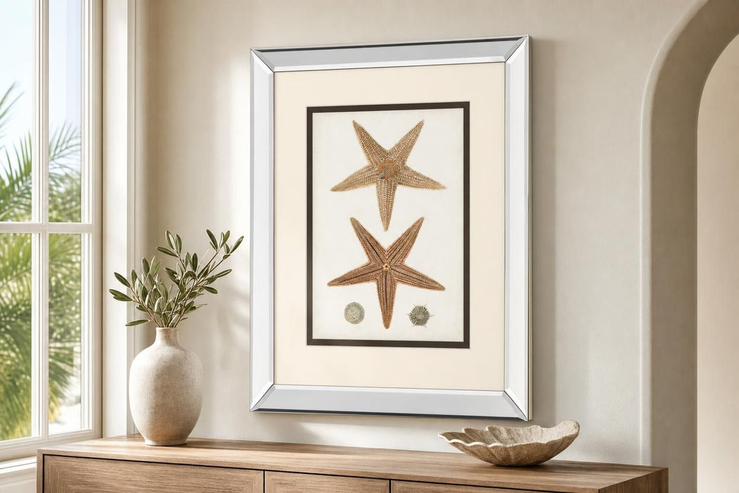 Coastal Curiosity I By Unknown - Light Brown