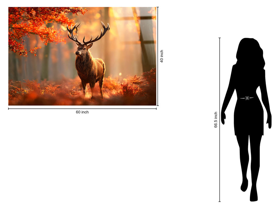 Autumn Stag Tempered Glass - Amber / Red
