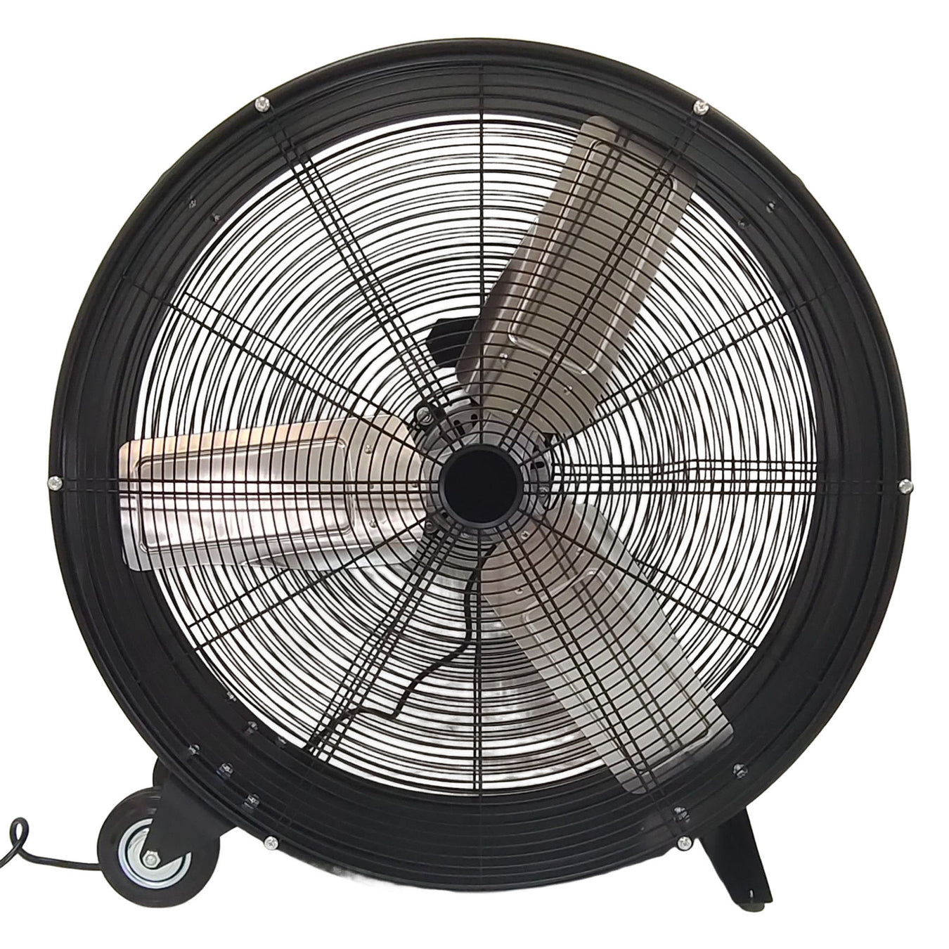Fans