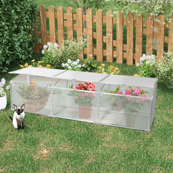 Polycarbonate Greenhouse For Outdoors In Winter - Silver