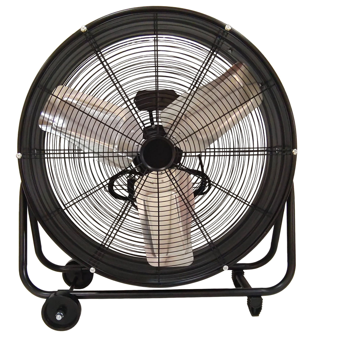 Fans