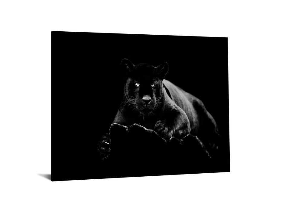 Tempered Glass With Foil - Black Panther - Black