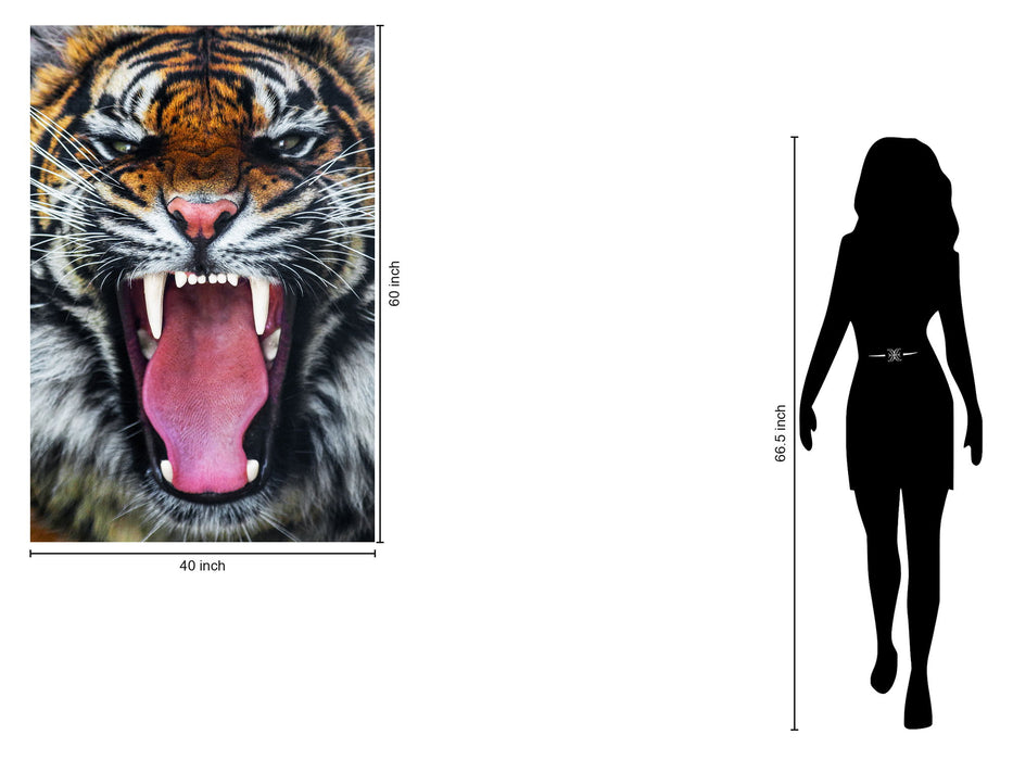 Temp Glass With Foil - Roaring Tiger - Orange