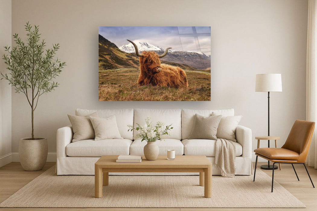 Tempered Glass With Foil - Highland Cow 2 - Light Brown
