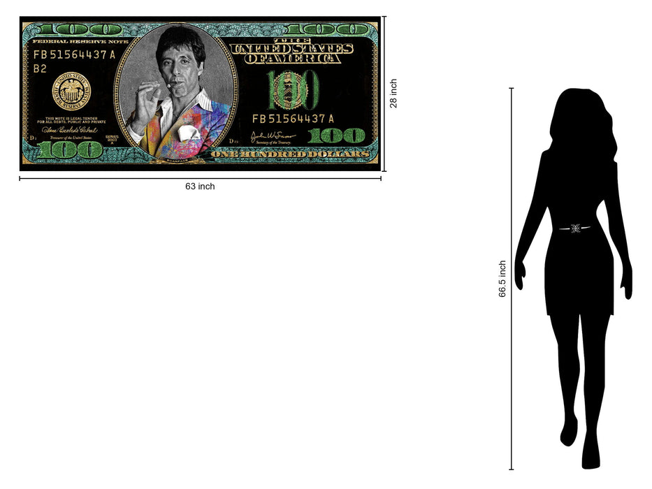 Color Burst Icon - 28" x 63" Framed Wall Art