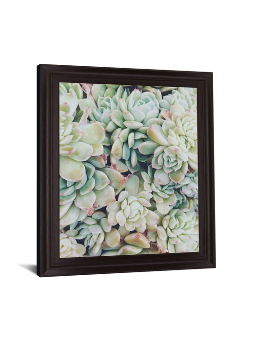 Verdant Rosette Cluster - 28" x 34" Framed Wall Art