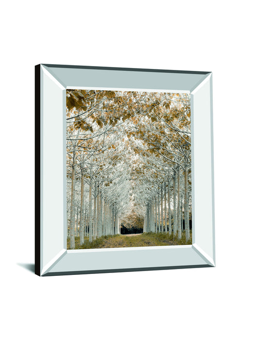 White Gold By Assaf Frank - Mirror Framed Print Wall Art - Pearl Silver
