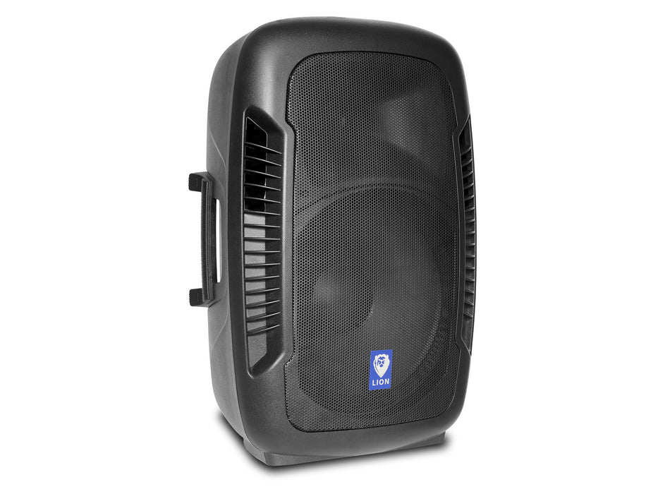 Professional 15" Speaker - Black