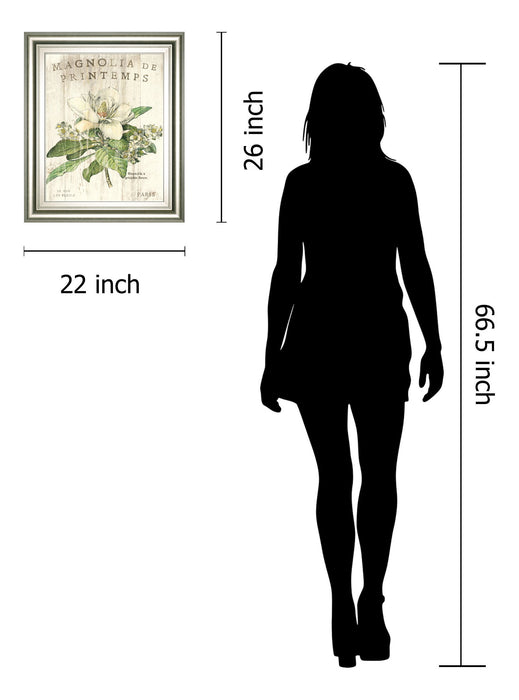 Magnolia De Printemps By Sue Schlabach - White