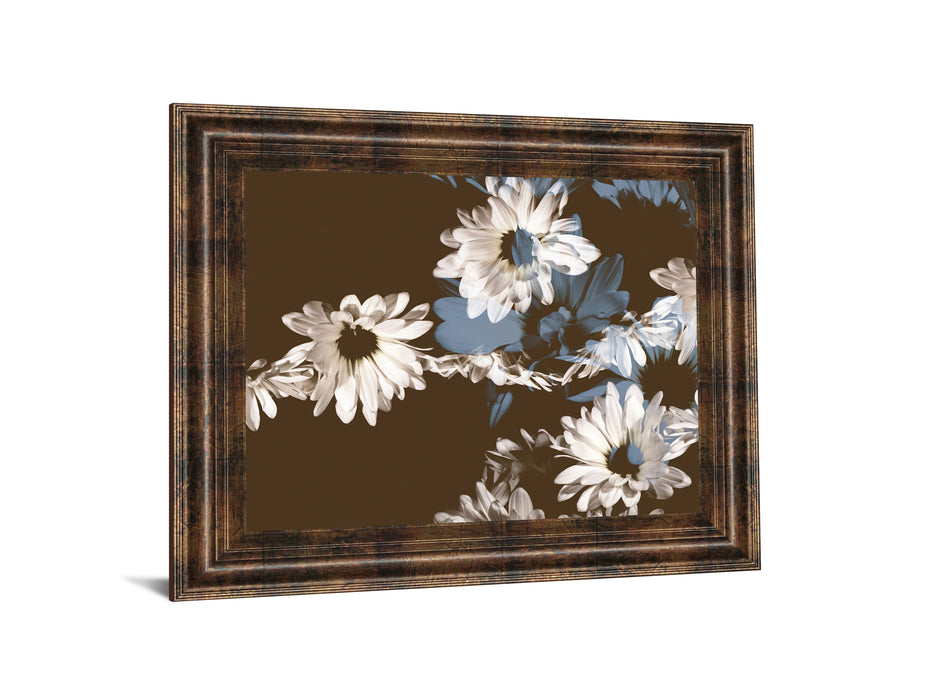 Chocolate Bloom Il By A. Project Framed Print Wall Art - Dark Brown